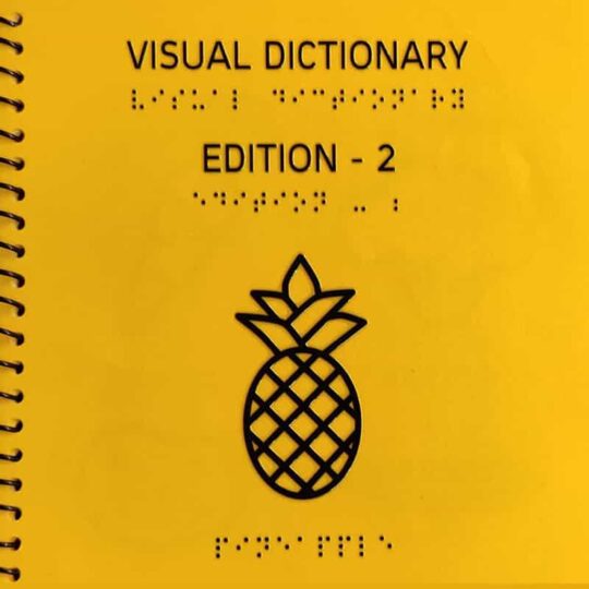 Braille Visual Dictionary Edition - 2 main page in yellow color with a photo of pineapple